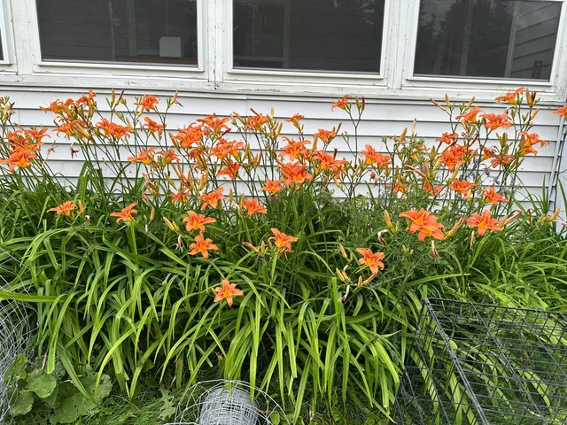 $149,000 | 4269 Aroostook Road, Winterville Plt, ME 04739