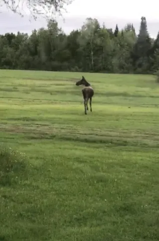 $149,000 | 4269 Aroostook Road, Winterville Plt, ME 04739