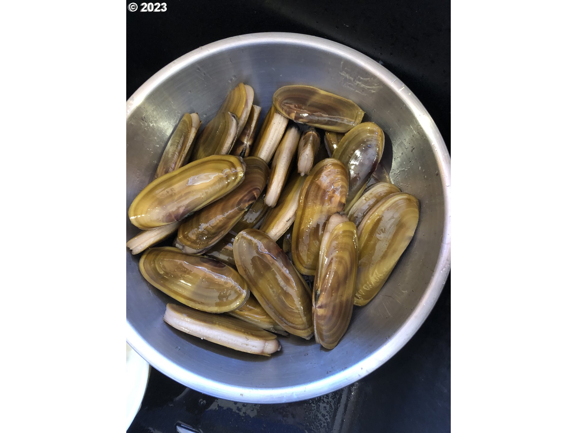 976 4th Avenue, Unit 5 Hammond, OR 97121 - Photo 11 of 13 a picture of a table in a pot