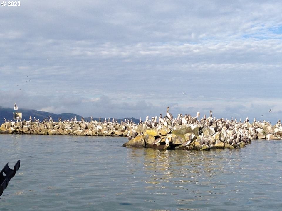 976 4th Avenue, Unit 5 Hammond, OR 97121 - Photo 7 of 13