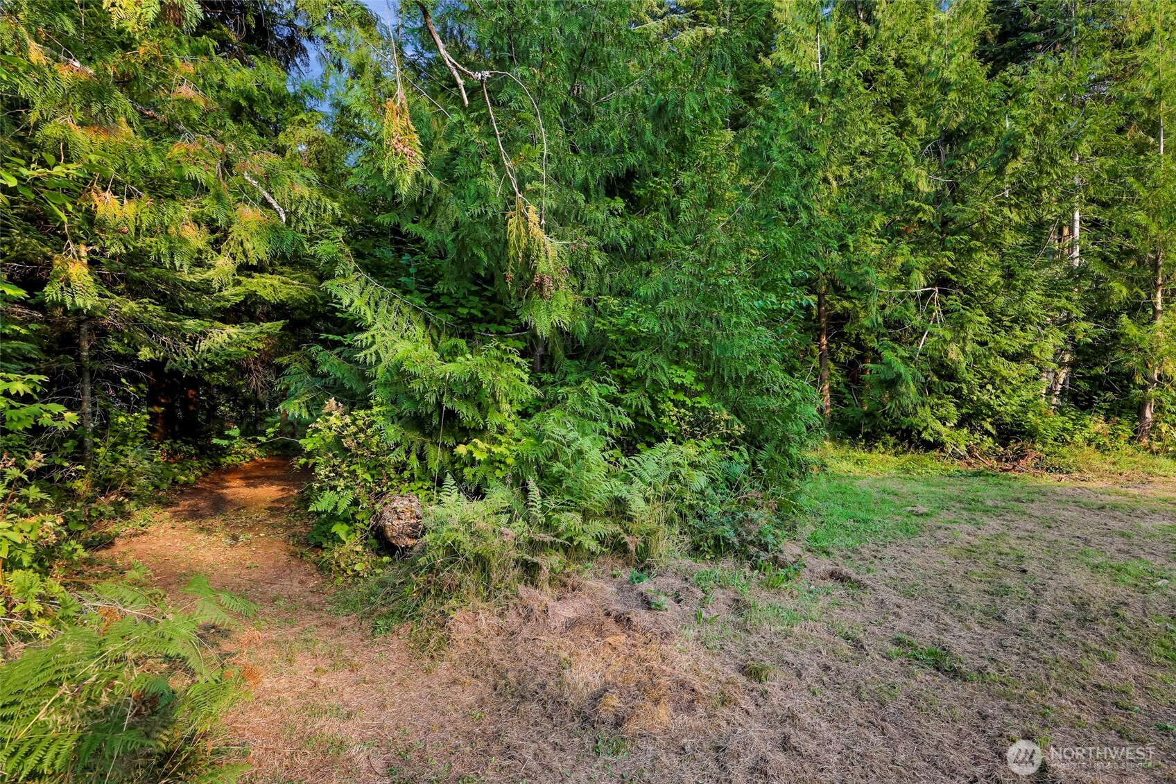 6801 South Pass Road Maple Falls, WA 98266 - Photo 6 of 17