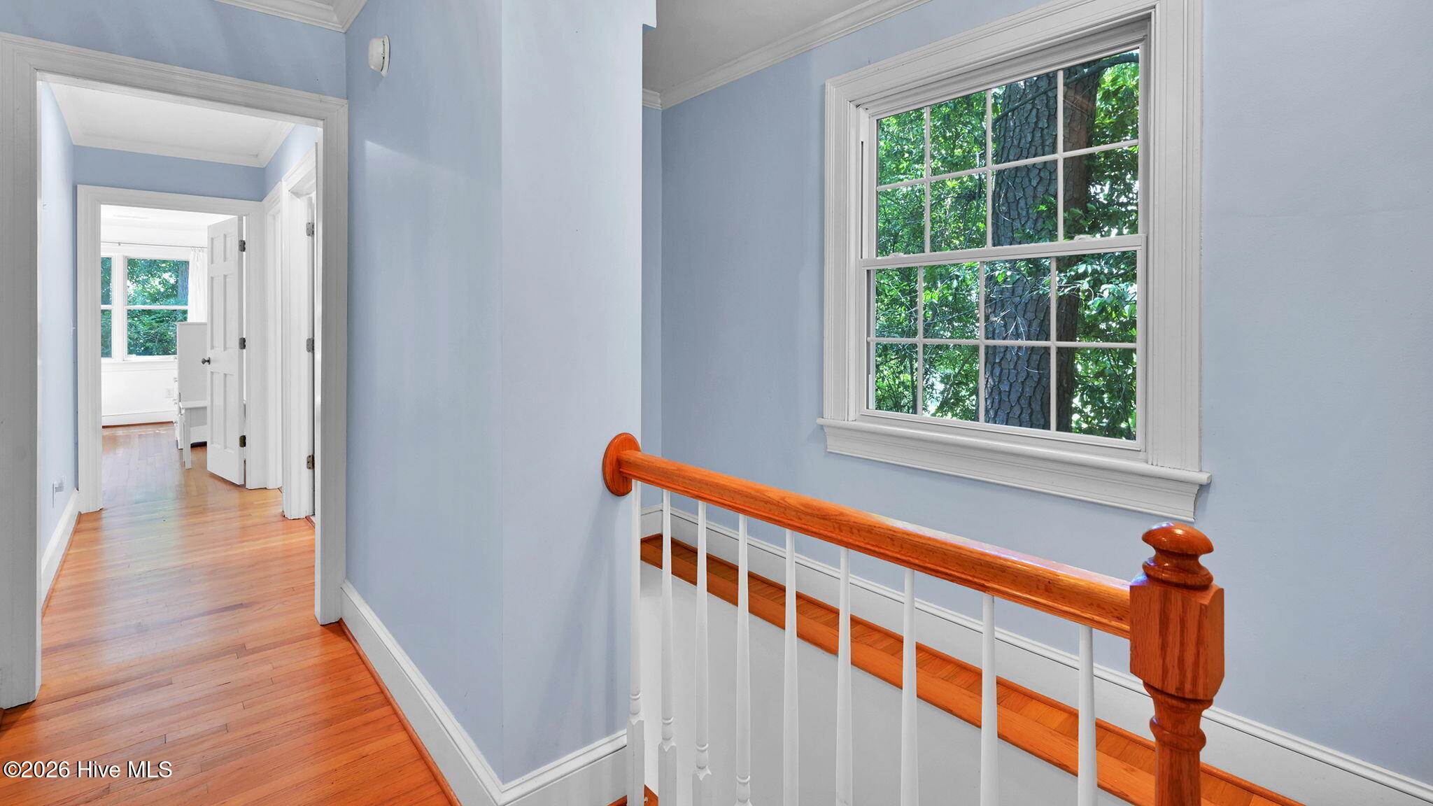 141 East Longmeadow Road Greenville, NC 27858 - Photo 17 of 70