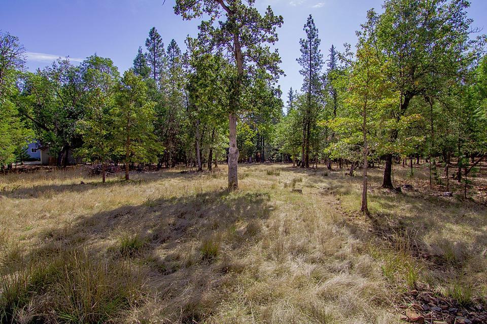 3614 Pleasant Creek Road Rogue River, OR 97537 - Photo 26 of 32 Additional Photo