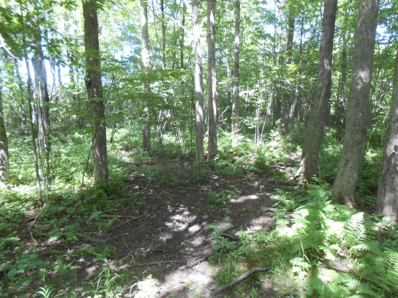 Off Green Creek Road Kennan, WI 54537 - Photo 9 of 15 Gallery Image 9