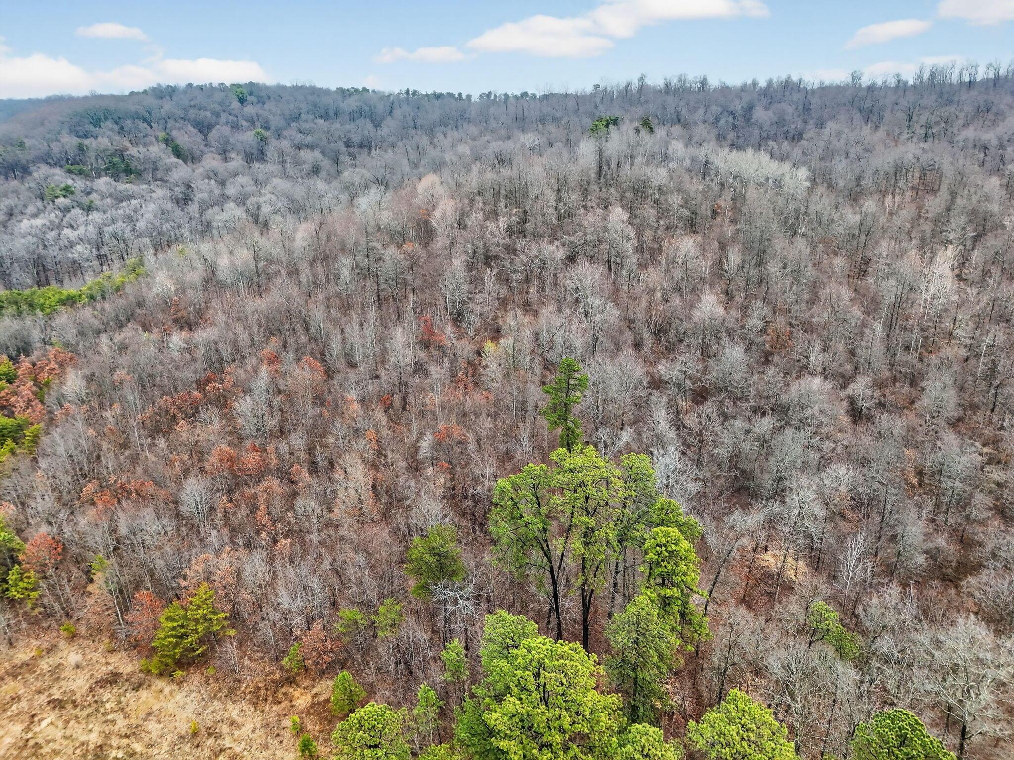 14442 Jack Run Road Rockbridge, OH 43149 - Photo 31 of 33 14440 Jack Run Land (Drone)-22