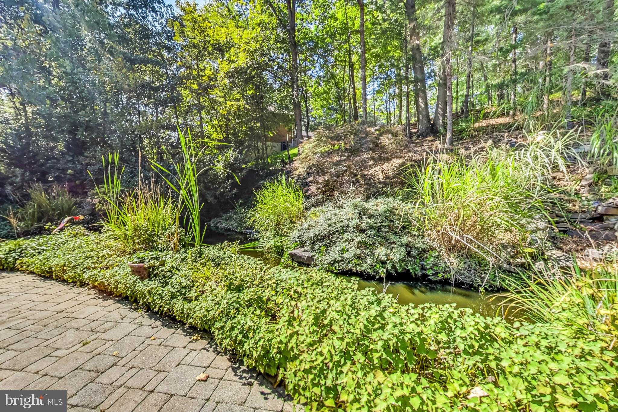 206 Gambrills Road Gambrills, MD 21054 - Photo 57 of 65 Large Pond