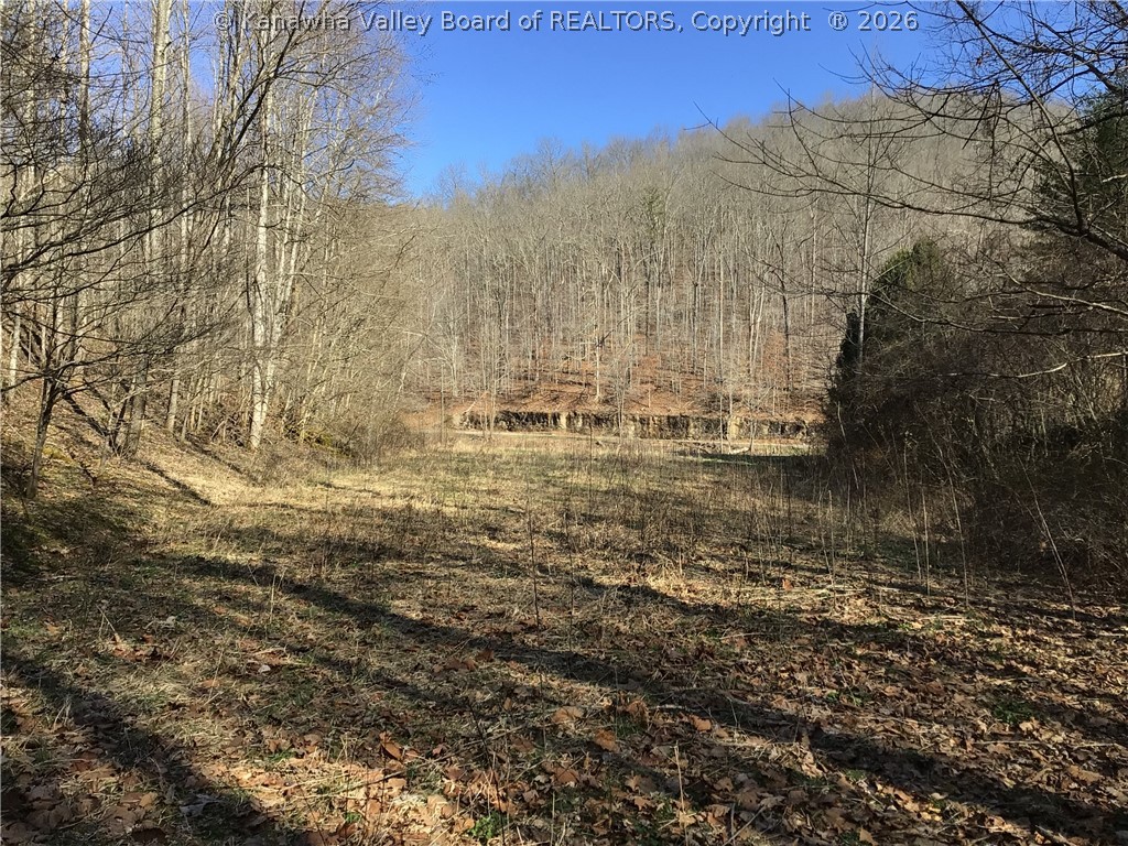 0 Bulger Road Alkol, WV 25501 - Photo 28 of 50 Gallery Image 28