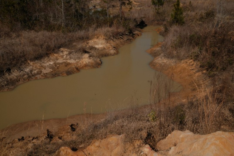 169 Johns Way Nahunta, GA 31553 - Photo 11 of 11