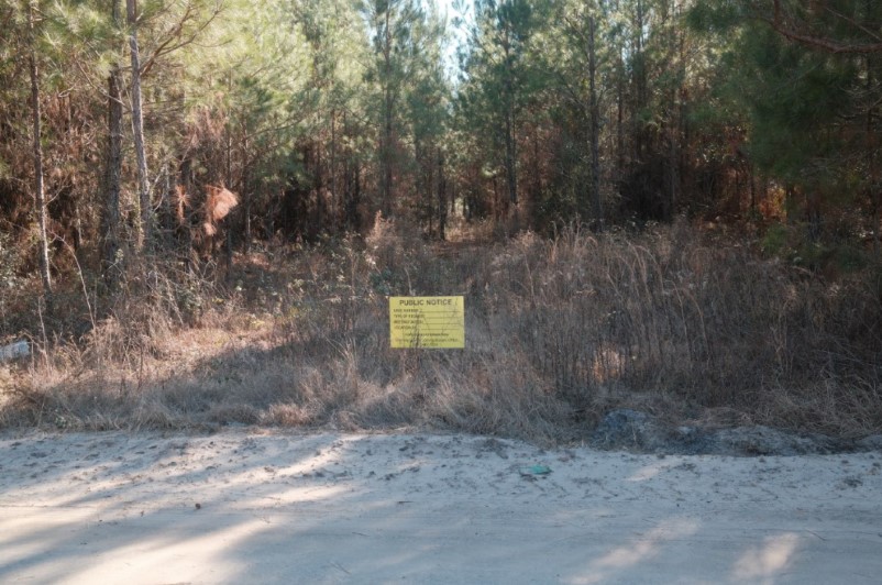 169 Johns Way Nahunta, GA 31553 - Photo 2 of 11