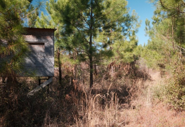 169 Johns Way Nahunta, GA 31553 - Photo 3 of 11