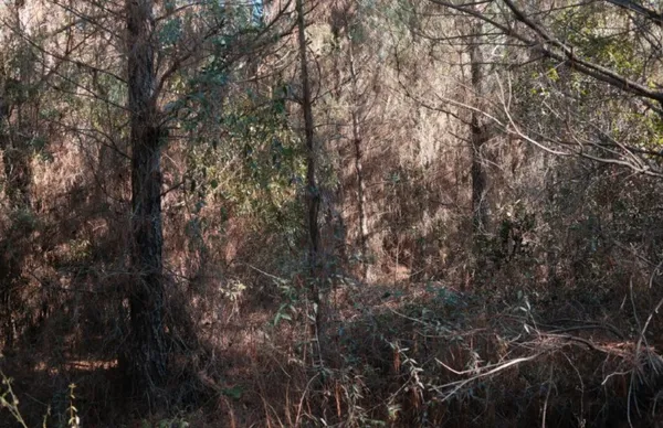 $250,000 | 169 Johns Way, Nahunta, GA 31553