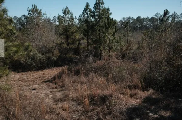 $250,000 | 169 Johns Way, Nahunta, GA 31553