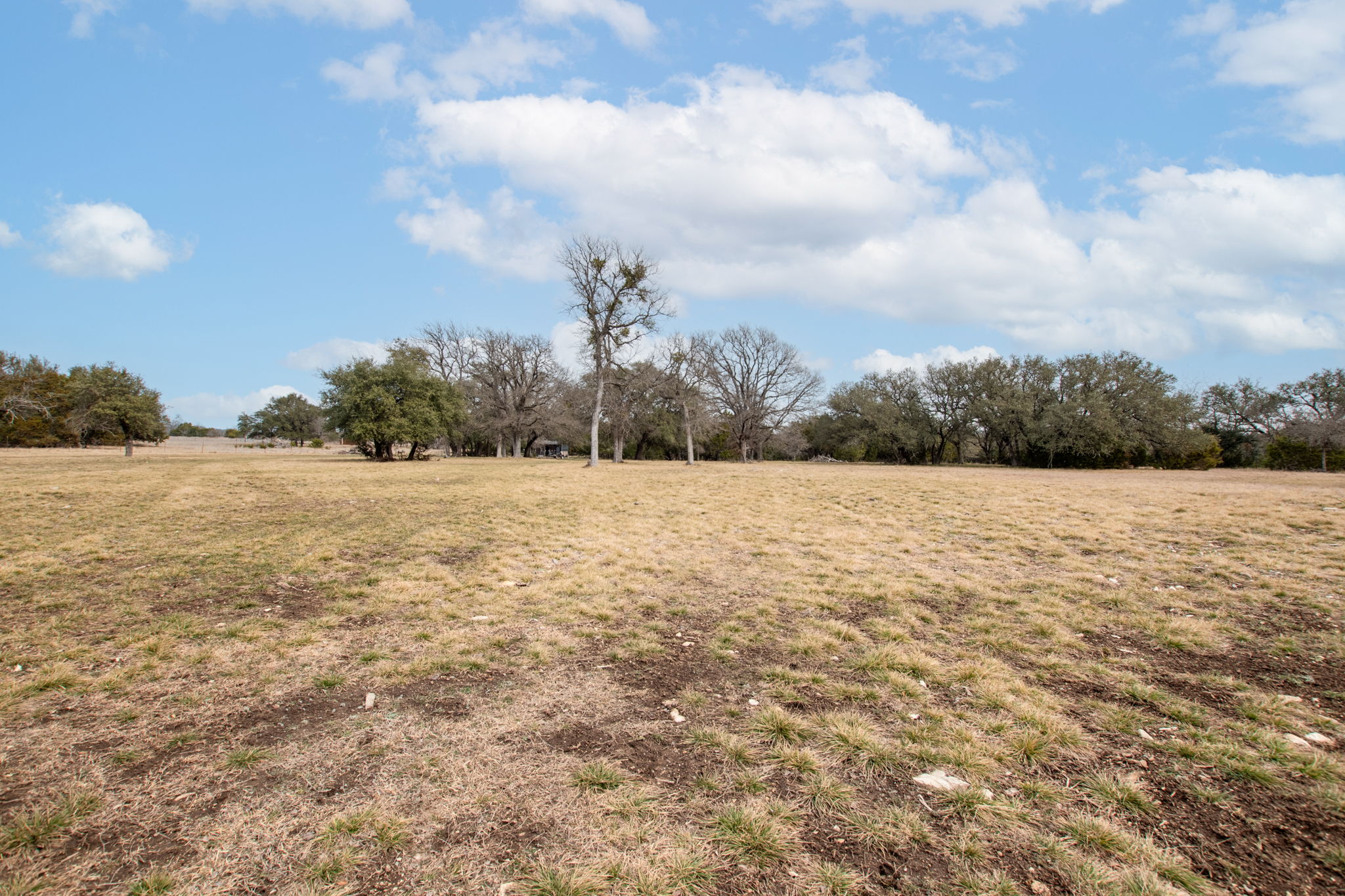 11990 Fm 580 Street East Kempner, TX 76539 - Photo 13 of 21 View of undeveloped land with rural landscape