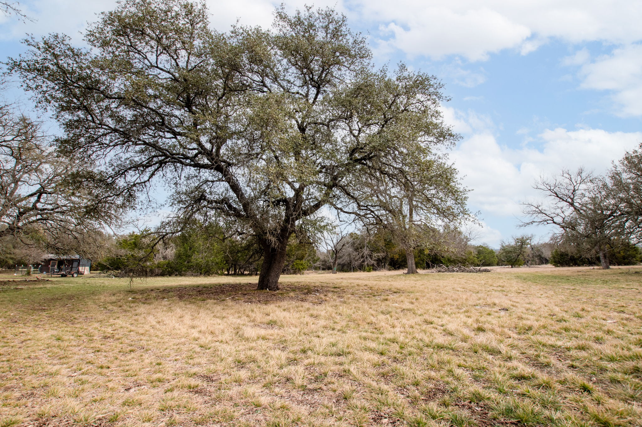 11990 Fm 580 Street East Kempner, TX 76539 - Photo 14 of 21 View of yard with a rural view