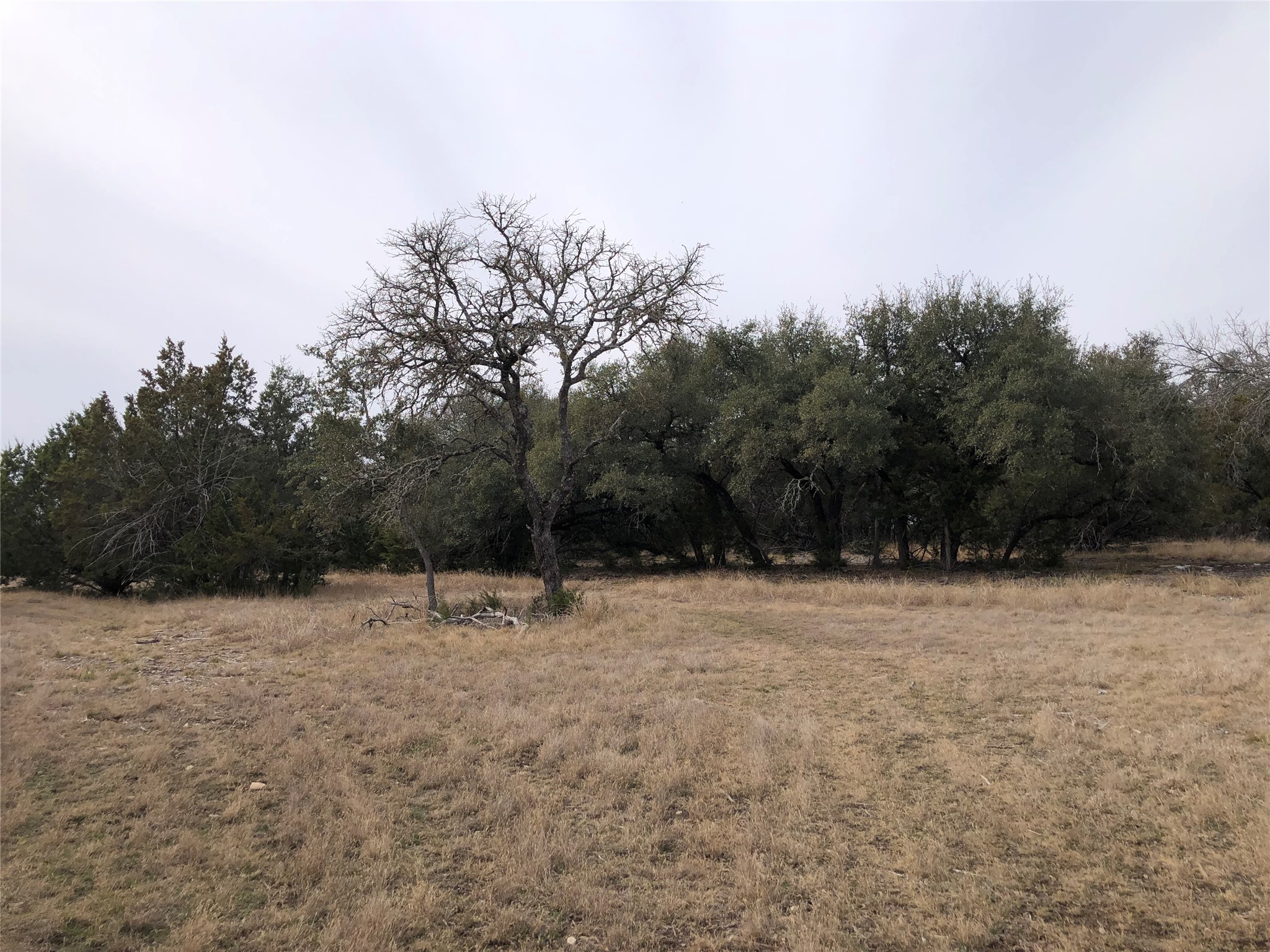 11990 Fm 580 Street East Kempner, TX 76539 - Photo 19 of 21 View of undeveloped land with rural landscape