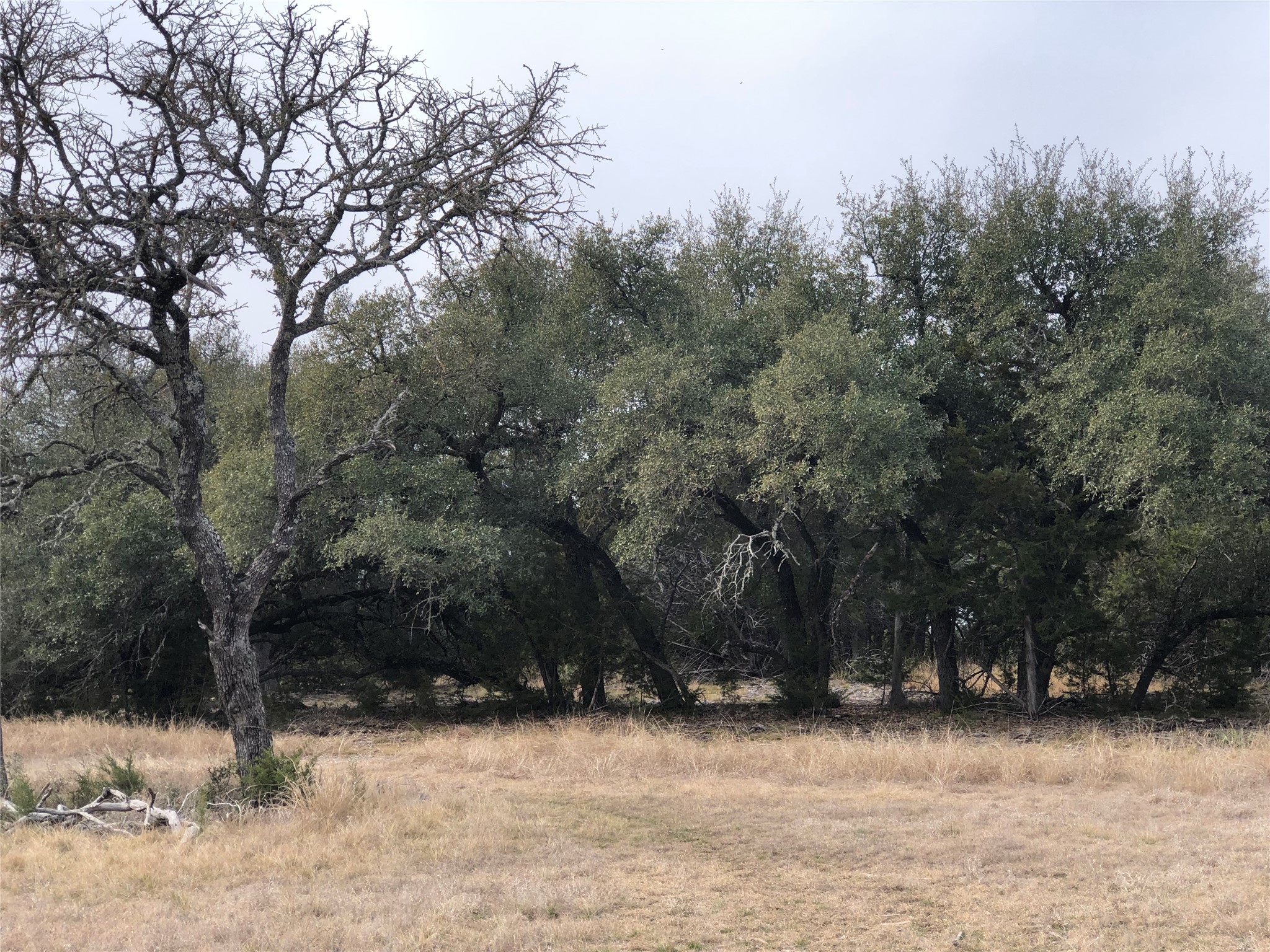 11990 Fm 580 Street East Kempner, TX 76539 - Photo 6 of 21 View of undeveloped land