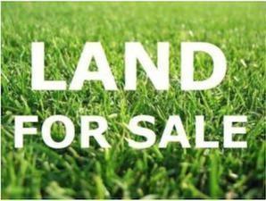 1233 South Kedzie Ave  