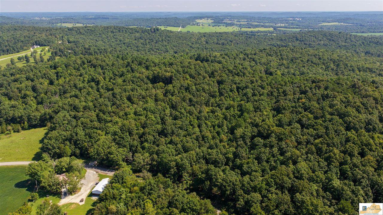 13474 Grayson Springs Road Clarkson, KY 42726 - Photo 12 of 36 Gallery Image 12