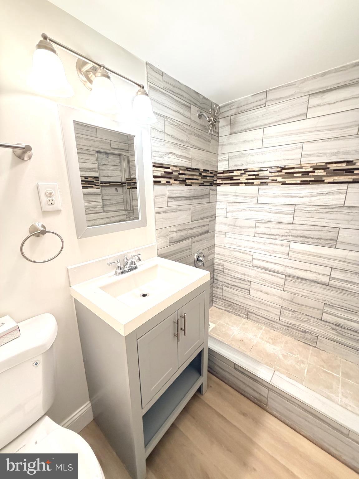 2316 Freetown Court, Unit 1B Reston, VA 20191 - Photo 24 of 36 a bathroom with a sink a toilet and shower