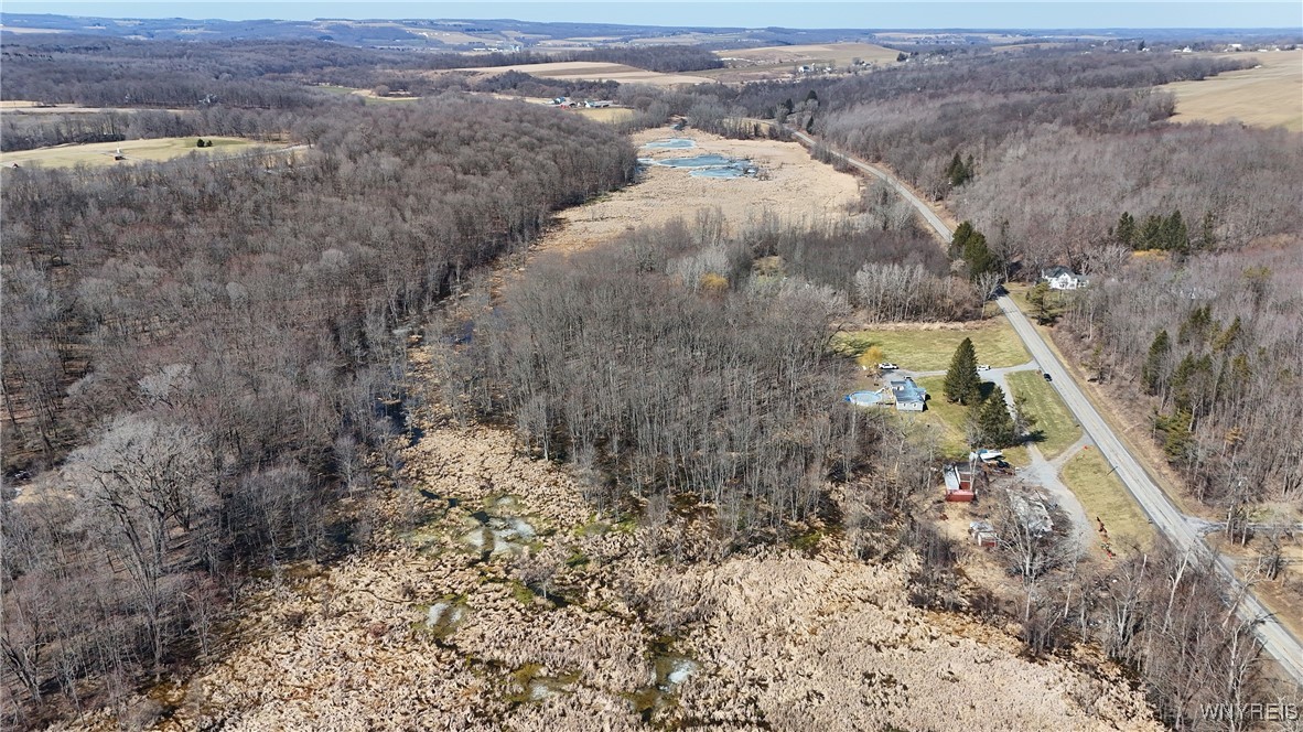 7326 Old State Road Covington, NY 14525 - Photo 8 of 41