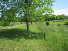 1980 Valleydale Road Mosheim, TN 37818 - Photo 18 of 24 Photo 18