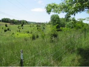 1980 Valleydale Road Mosheim, TN 37818 - Photo 21 of 24 Photo 21