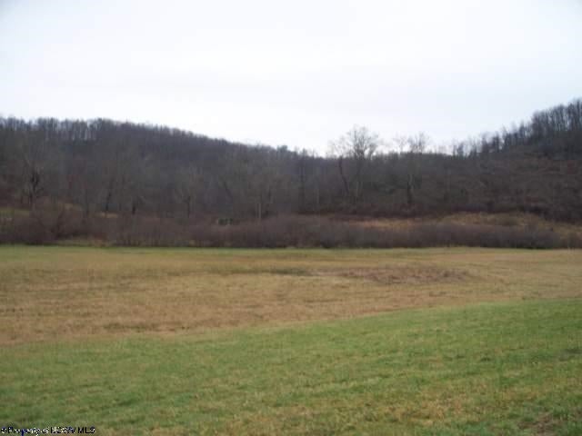4 4h Camp Road Philippi, WV 26416 - Photo 4 of 7 Gallery Image 4