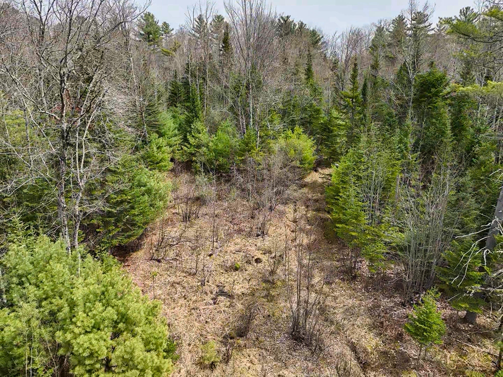 0 West Side Road Dixfield, ME 04224 - Photo 6 of 10 2026-05-09-11-44-43-133