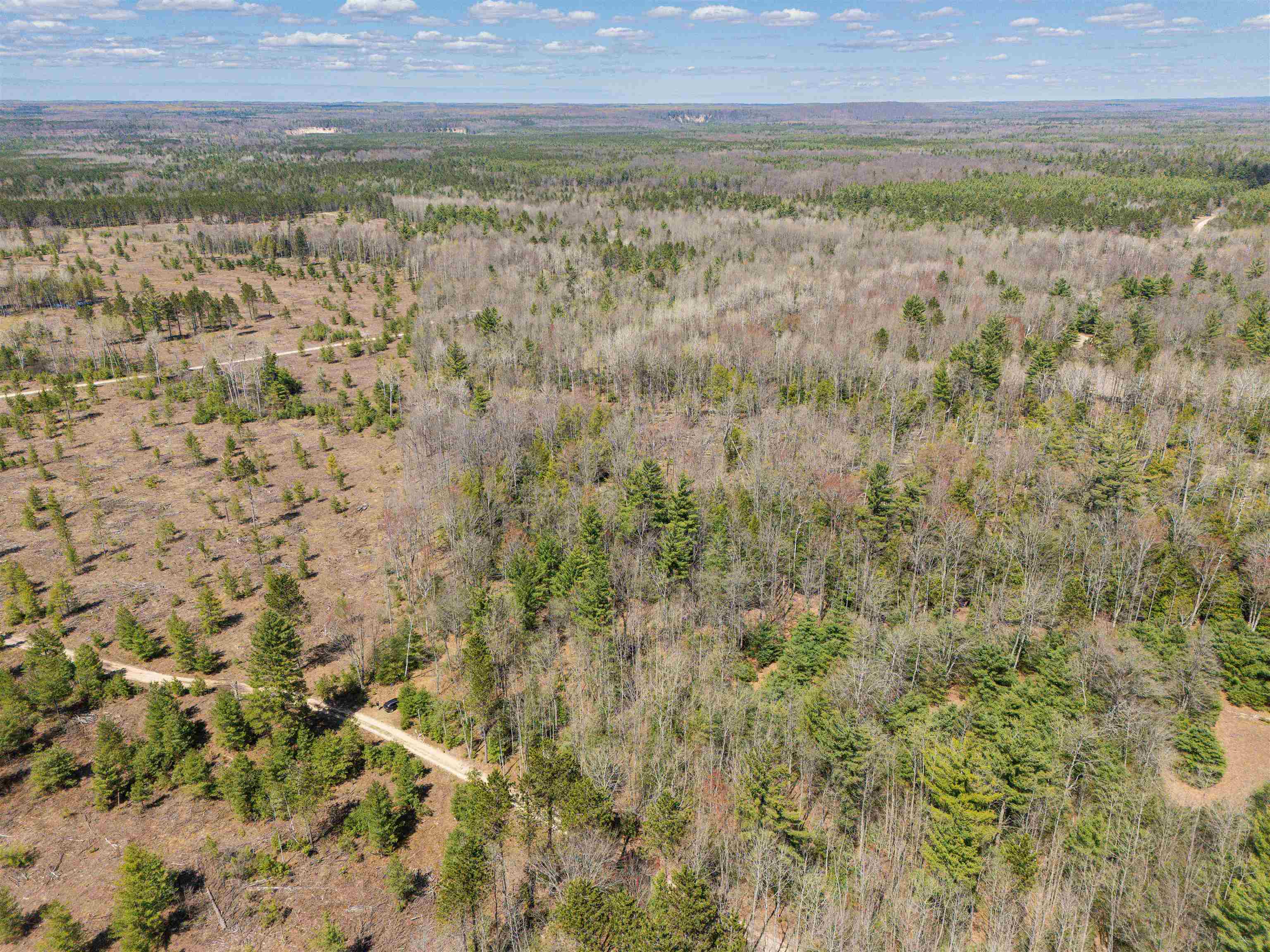 Vl Kolarvic Road Manton, MI 49663 - Photo 10 of 28