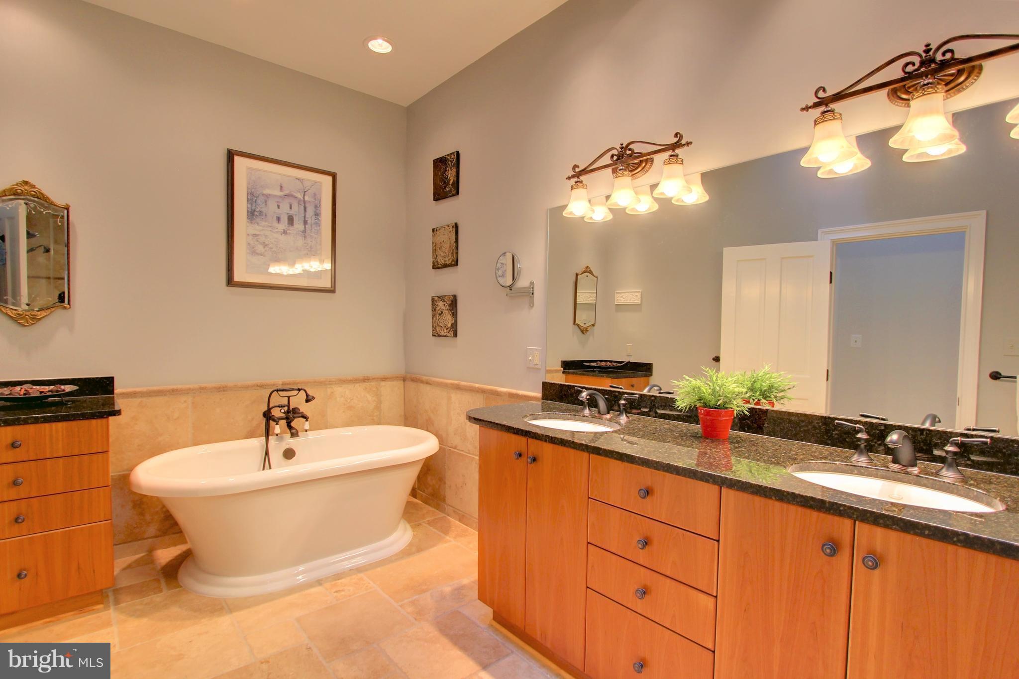 13705 Loria Court Clarksville, MD 21029 - Photo 15 of 30 a bathroom with a double vanity sink and a mirror