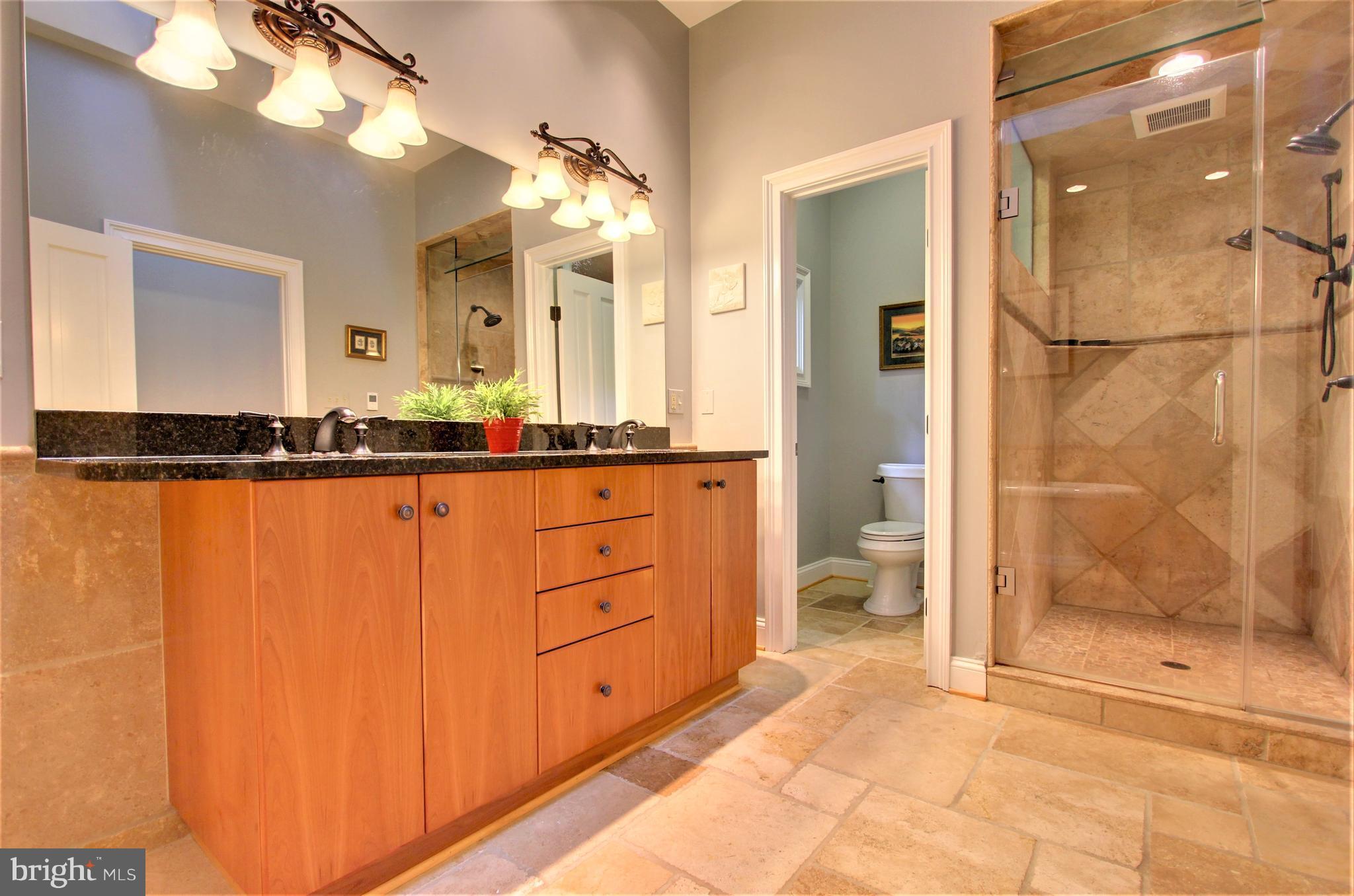 13705 Loria Court Clarksville, MD 21029 - Photo 16 of 30 a bathroom with a granite countertop sink a mirror and a shower