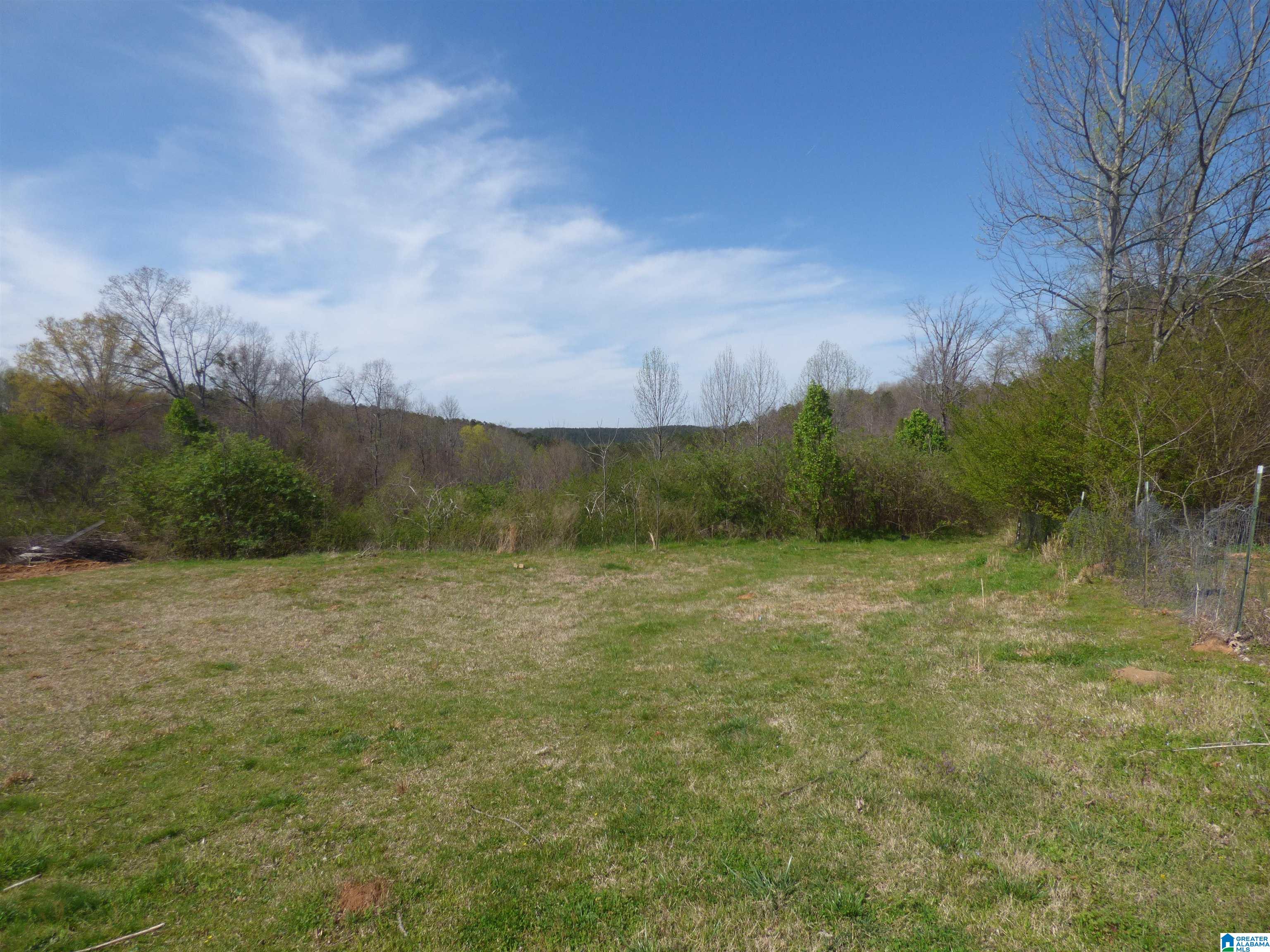 114 Haynes Road Altoona, AL 35952 - Photo 44 of 49