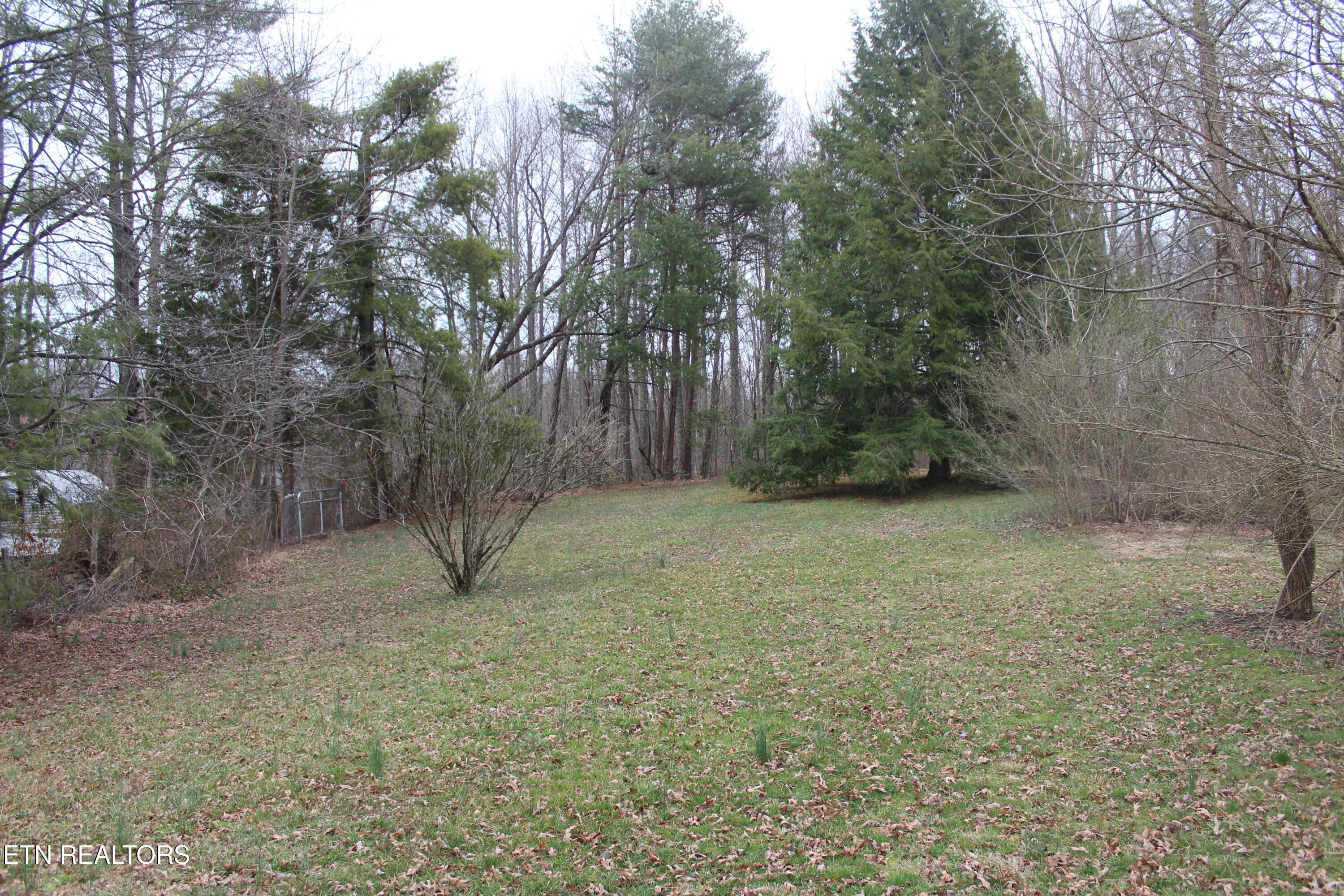 921 McGhee Road Jamestown, TN 38556 - Photo 6 of 6 IMG_9116