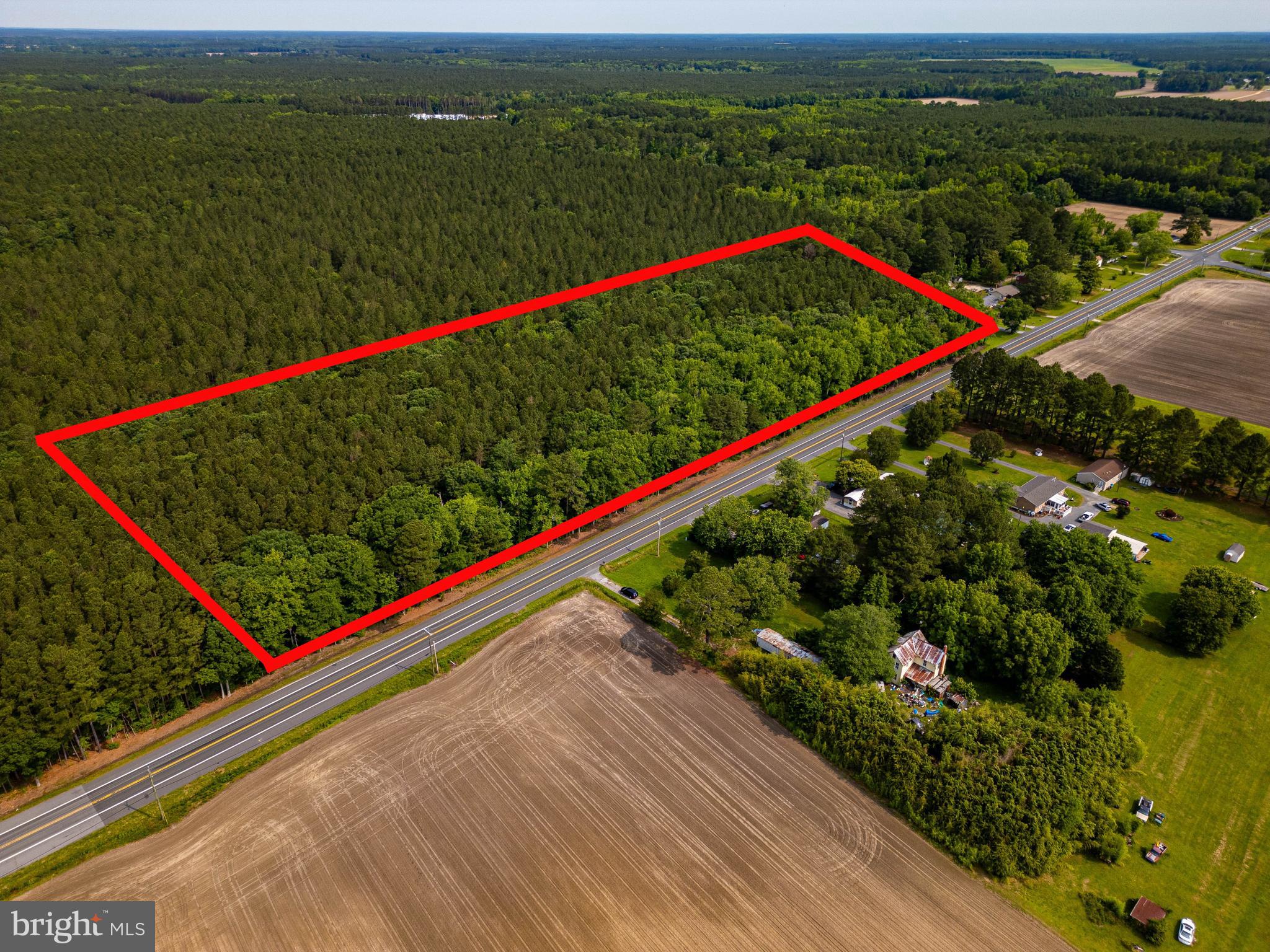 103 Deal Island Road Princess Anne, MD 21853 - Photo 1 of 6