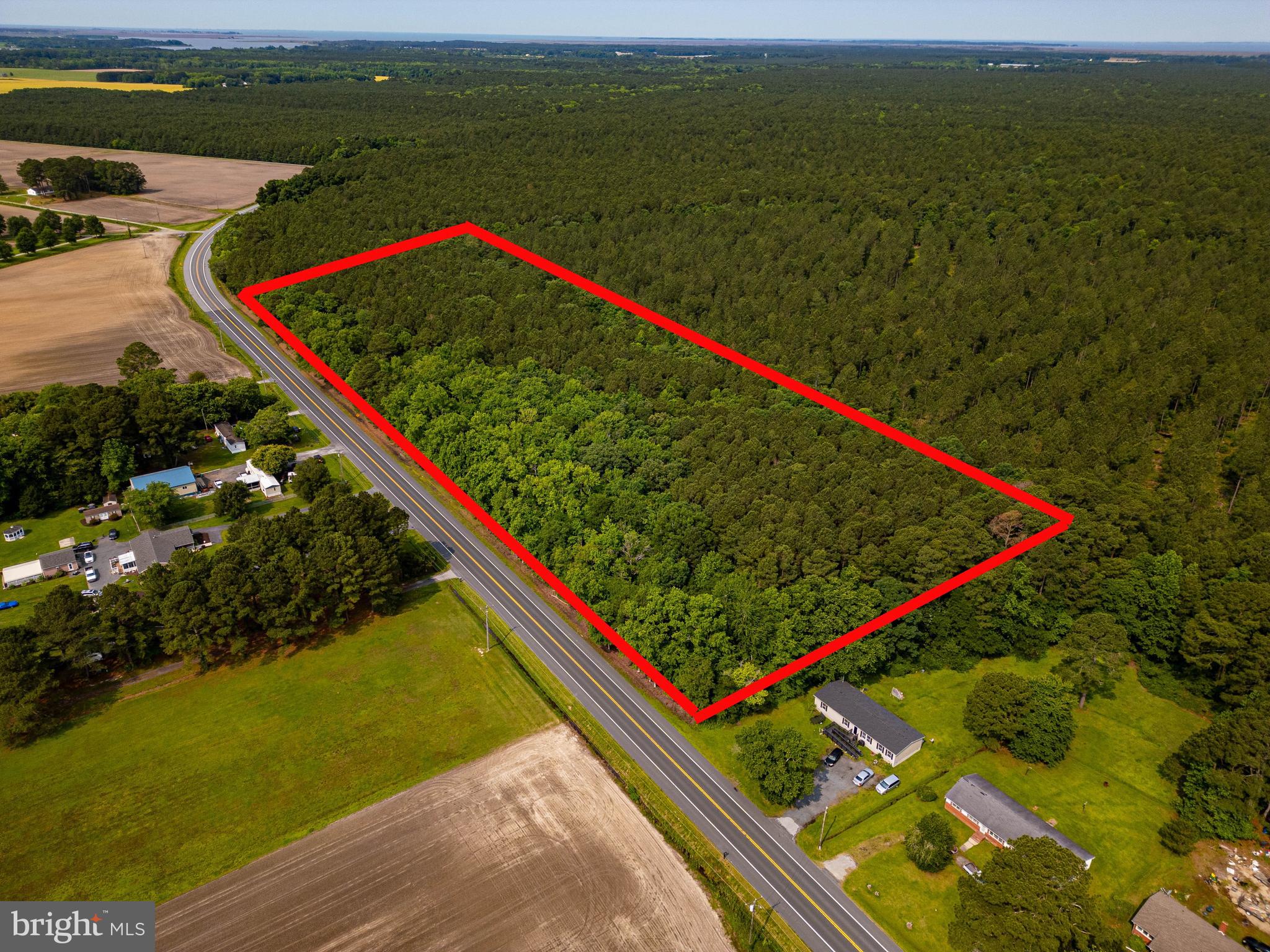 103 Deal Island Road Princess Anne, MD 21853 - Photo 4 of 6