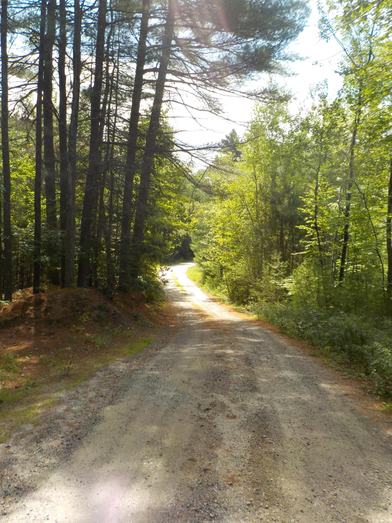 89 Gerry Road Otisfield, ME 04270 - Photo 13 of 14 road 2