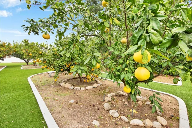 a view of city and mountain