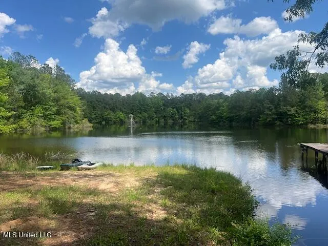 $625,000 | 263 Dawkins Road, Hickory, MS 39332
