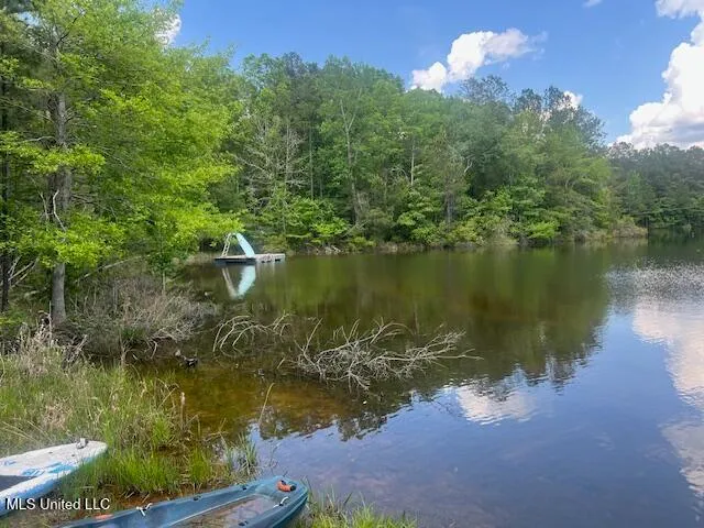 $625,000 | 263 Dawkins Road, Hickory, MS 39332