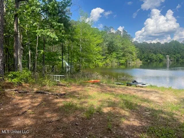 $625,000 | 263 Dawkins Road, Hickory, MS 39332