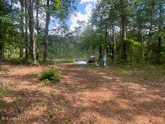 $625,000 | 263 Dawkins Road, Hickory, MS 39332