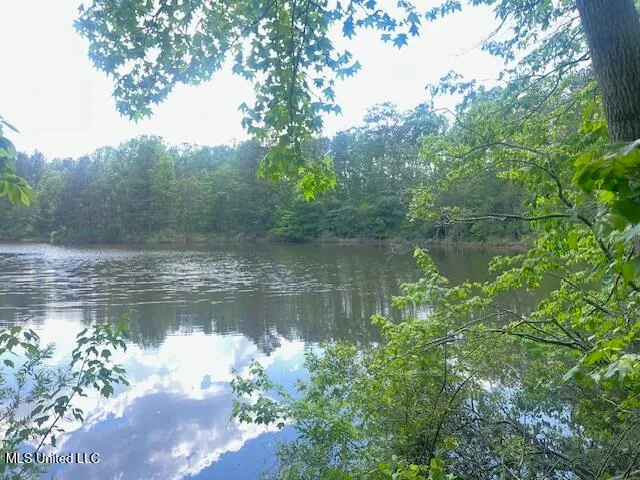 $625,000 | 263 Dawkins Road, Hickory, MS 39332