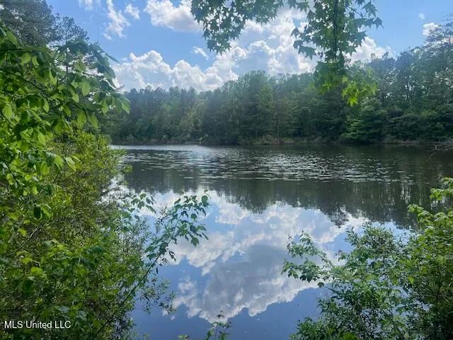 $625,000 | 263 Dawkins Road, Hickory, MS 39332