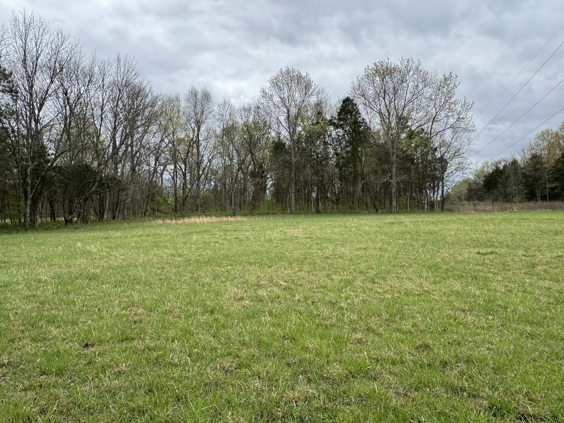13 Rutledge Ln. Lebanon, TN 37087 - Photo 2 of 5 Gallery Image 2