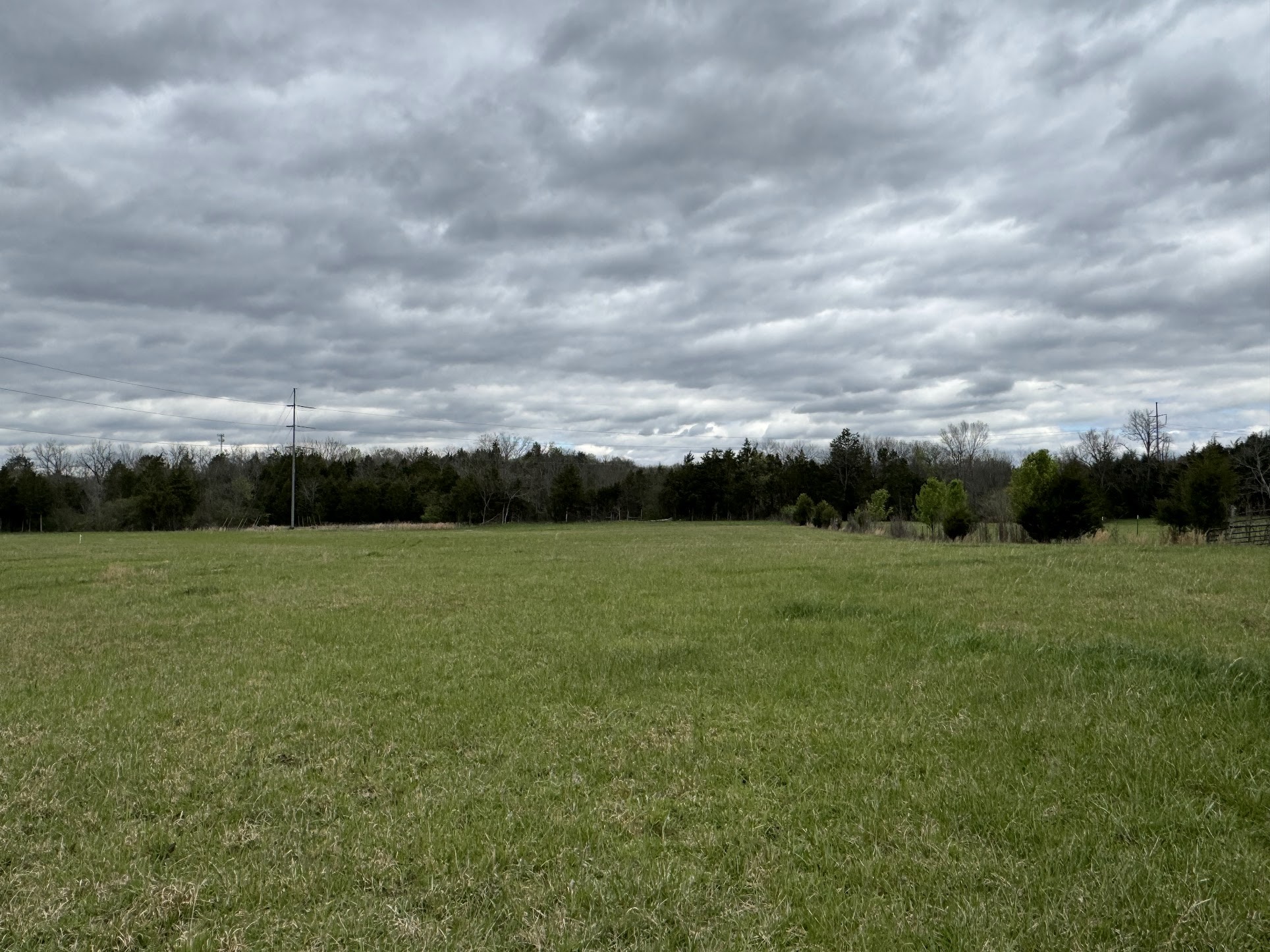 13 Rutledge Ln. Lebanon, TN 37087 - Photo 3 of 5 Gallery Image 3