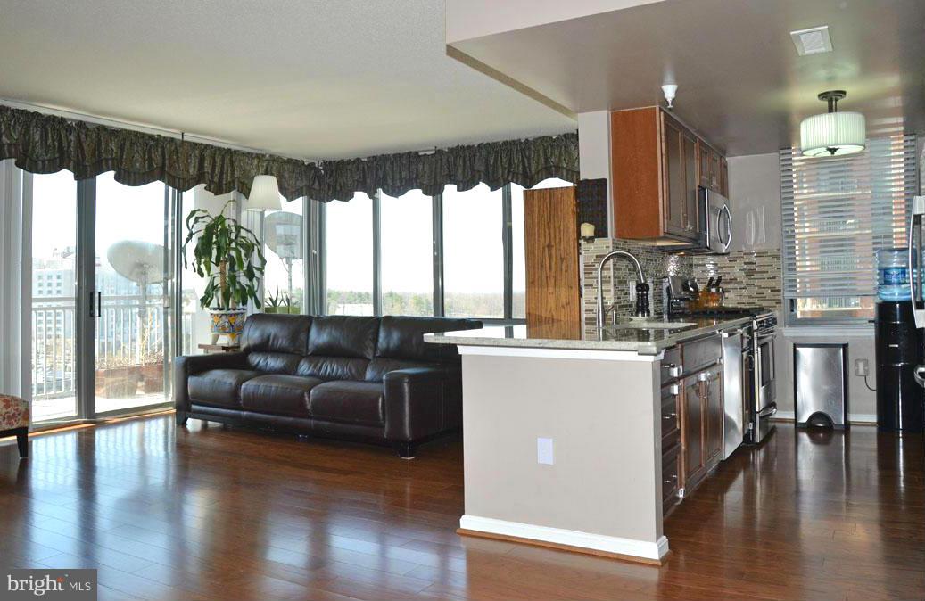 11710 Old Georgetown Road, Unit 917 North Bethesda, MD 20852 - Photo 2 of 30 Kitchen and Living Room