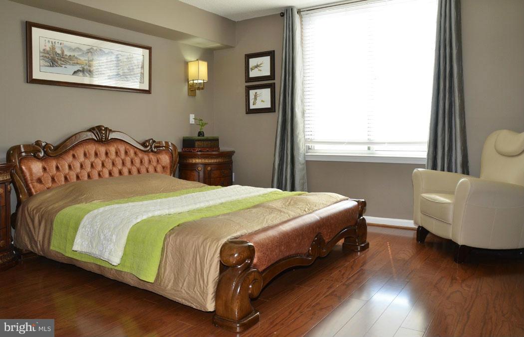 11710 Old Georgetown Road, Unit 917 North Bethesda, MD 20852 - Photo 14 of 30 Bedroom (Master)