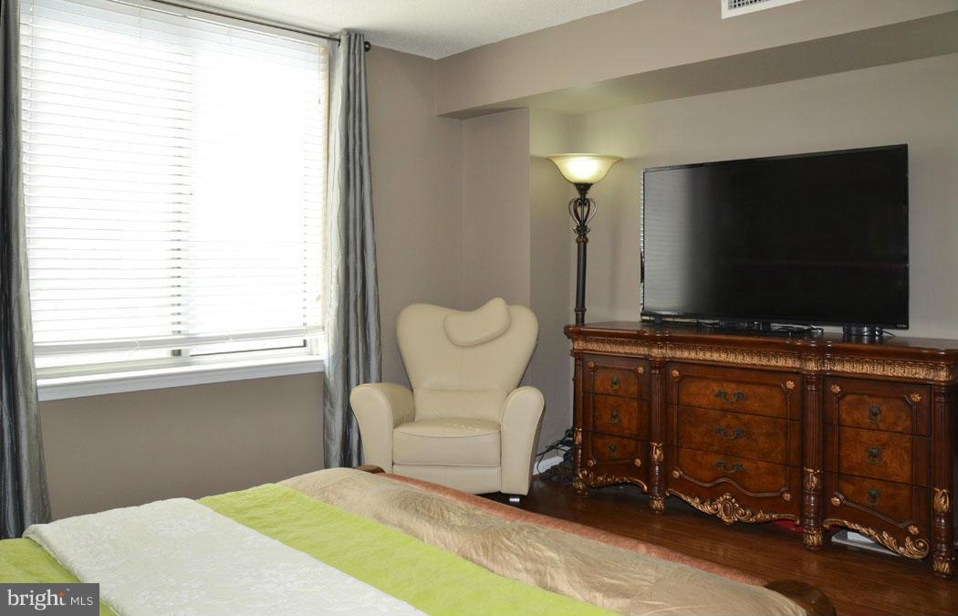 11710 Old Georgetown Road, Unit 917 North Bethesda, MD 20852 - Photo 15 of 30 Bedroom (Master)