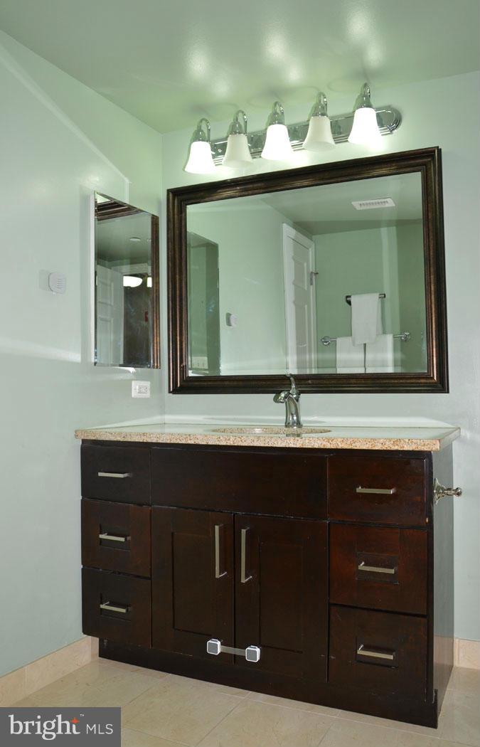 11710 Old Georgetown Road, Unit 917 North Bethesda, MD 20852 - Photo 21 of 30 Bath #2