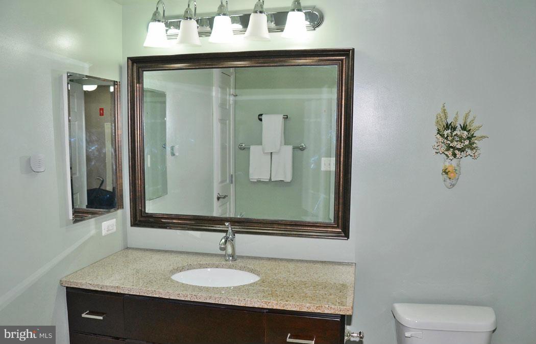 11710 Old Georgetown Road, Unit 917 North Bethesda, MD 20852 - Photo 22 of 30 Bath #2